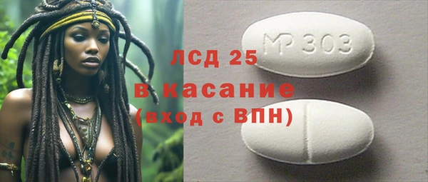 гашик Аркадак