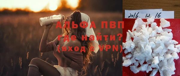 гашик Аркадак