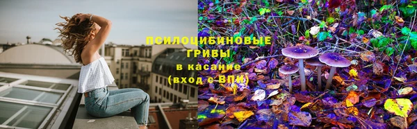 гашик Аркадак