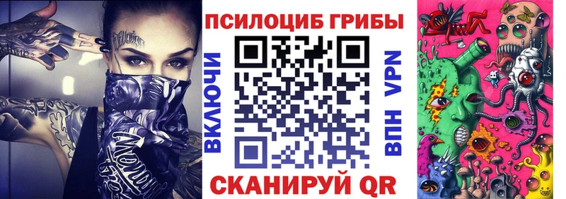 купить наркотики сайты  Мегион  Псилоцибиновые грибы GOLDEN TEACHER 