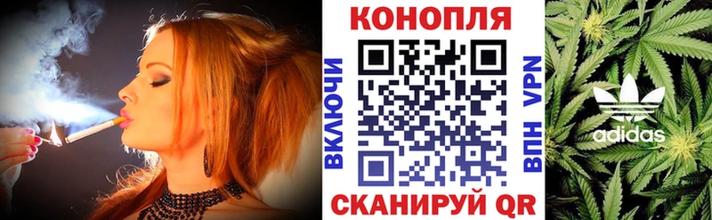 mega tor  Мегион  Бошки марихуана конопля 